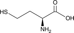 Homocysteïne