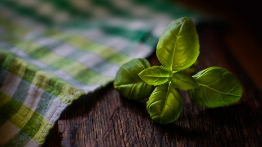 Wat is Rhodiola? | Natuurlijke rustgever | o.a. bij stress