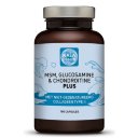 MSM, Glucosamine & Chondroitine Plus Kala Health